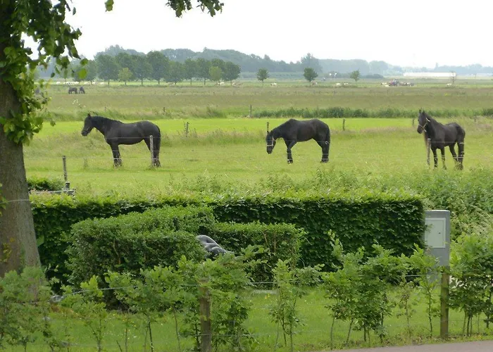 Brasserie Oud Hotel Maren-Kessel