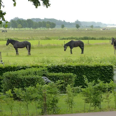 Brasserie Oud Hotel Maren-Kessel